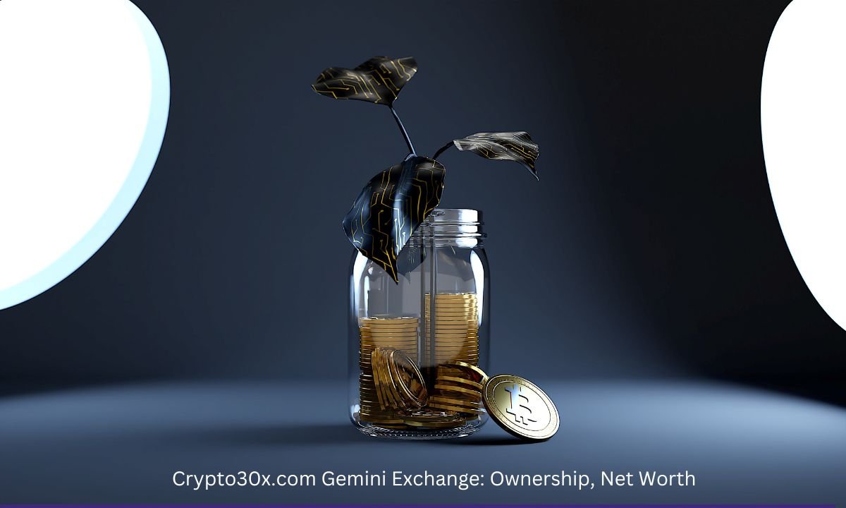 Crypto30x.com Gemini Exchange: Ownership, Net Worth